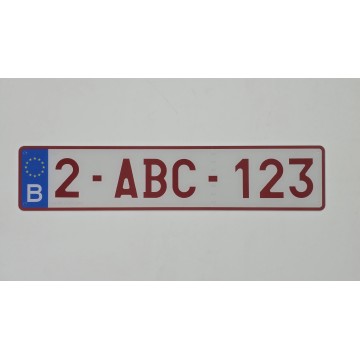 PLAQUE RUBIS PLEXI   ,  format auto