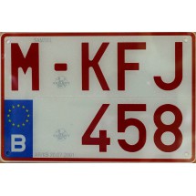 PLAQUE RUBIS PLEXI   ,  format moto